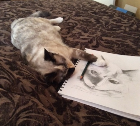 Cat holding a pencil next to a drawing of a cat